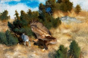 Aigle chassant un lièvre - Bruno Andreas Liljefors